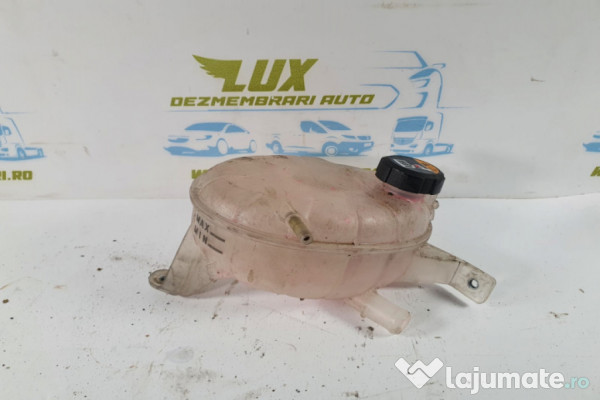 Vas lichid racire expansiune antigel 1.6 G4LE-6d hybrid Hyundai Ioniq