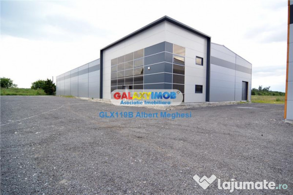 Spatiu Depozitare/Hala Centura-Mogosoaia