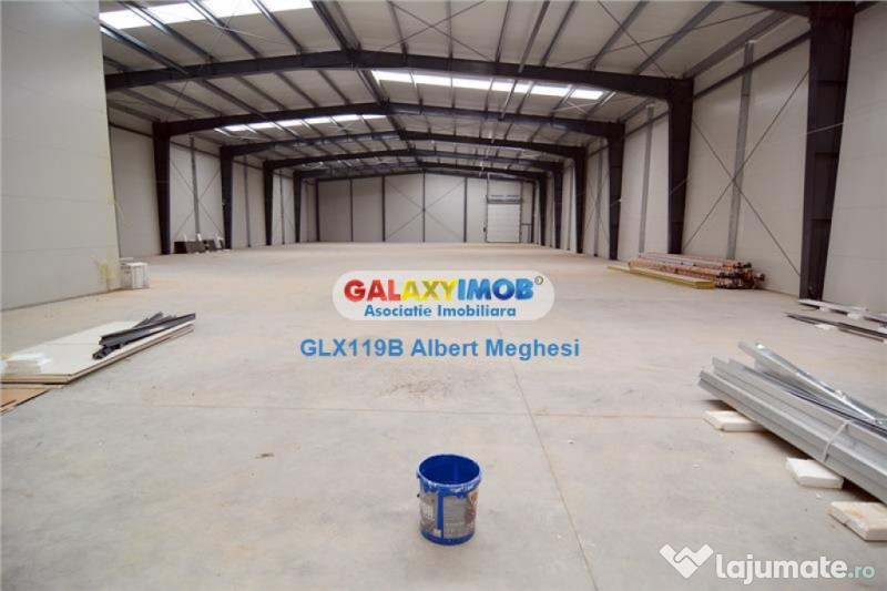 Spatiu Depozitare/Hala Centura-Mogosoaia