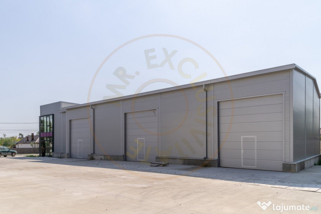 0% Comision-Inchiriere 2 hale noi zona Bascov la DN 7C 