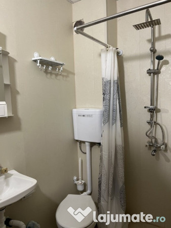 Apartament de vanzare Buziasului 