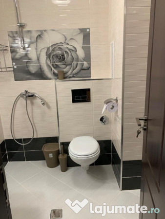 Apartament cu o camera Ultracentral