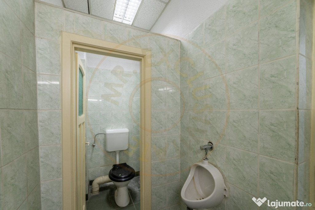 Spațiu situat pe cea mai circulată stradă din oraș - Bd.