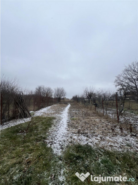 Casa individuala pe un singur nivel cu teren de 800 mp zona 