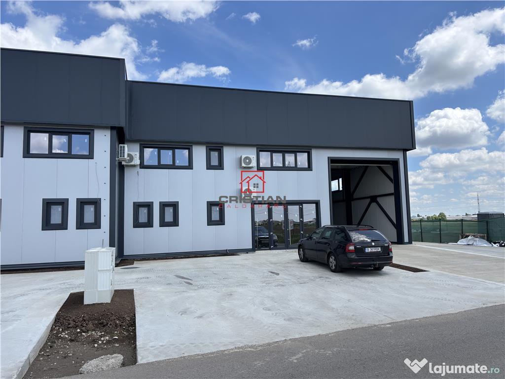 Depozit/hala/spatiu industrial Domnesti - Centura, Ilfov 