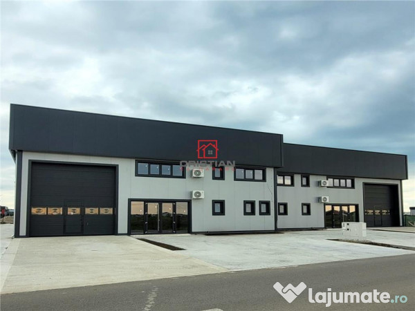 Depozit/hala/spatiu industrial Domnesti - Centura, Ilfov 