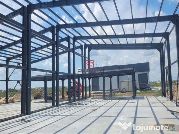 Depozit/hala/spatiu industrial Domnesti - Centura, Ilfov 
