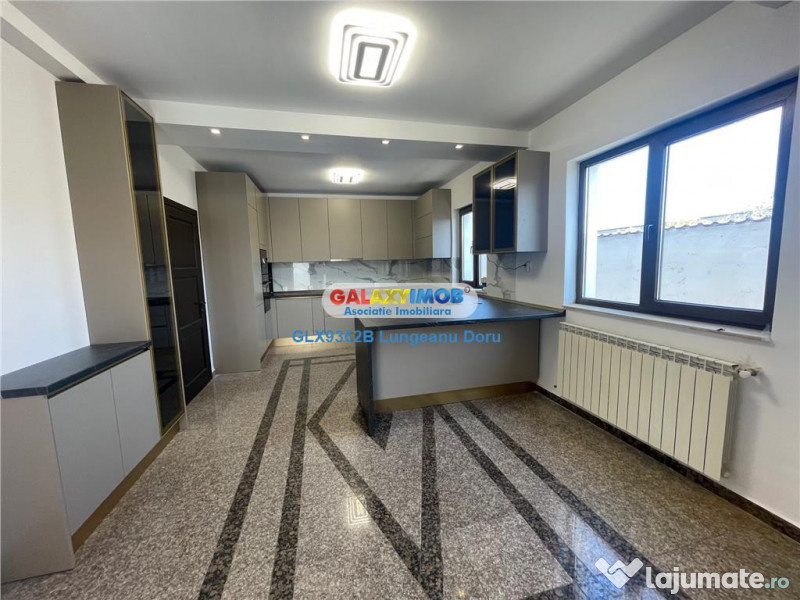 Vila P 1E, Garaj, Renovata, Curte 700 mp, Drumul Negru, Pipe 