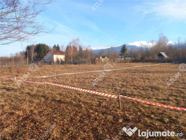 Teren intravilan de 1000 mp in Avrig zona Valea Avrigului 