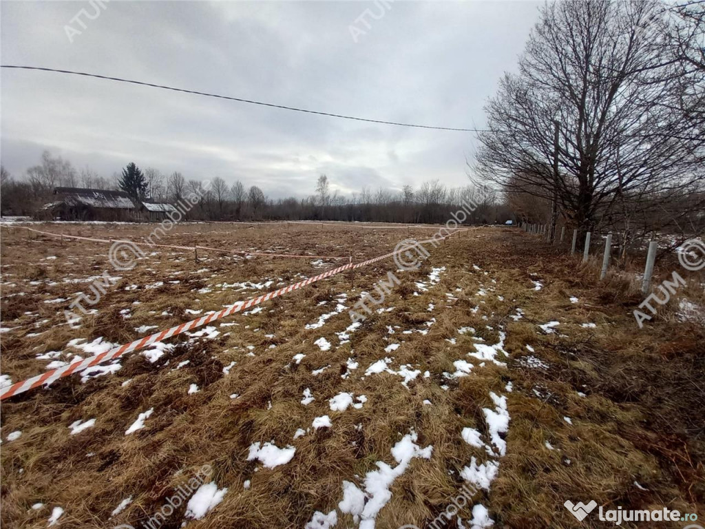 Teren intravilan de 1000 mp in Avrig zona Valea Avrigului 