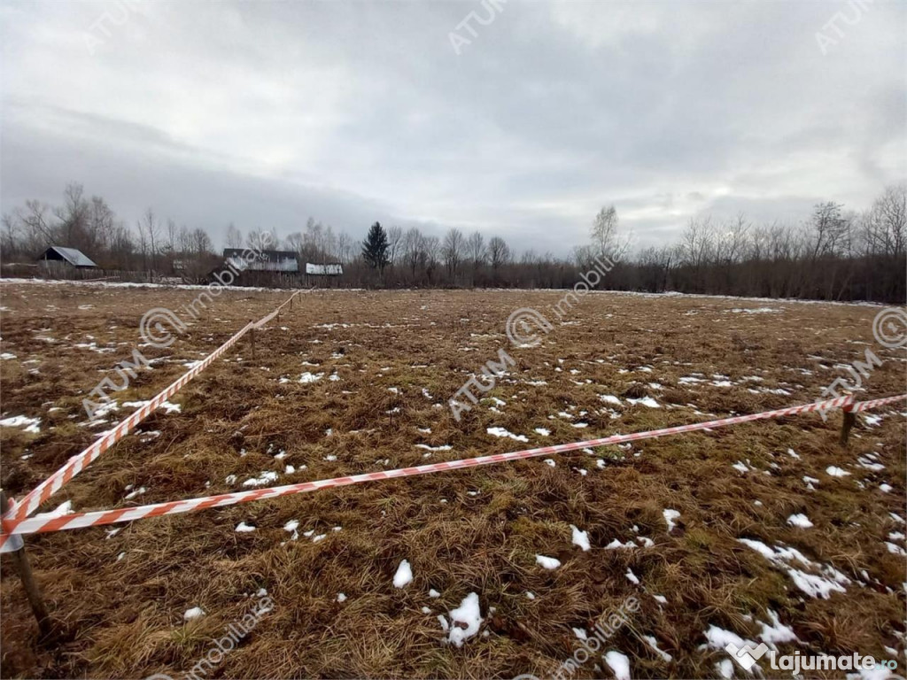 Teren intravilan de 1000 mp in Avrig zona Valea Avrigului 