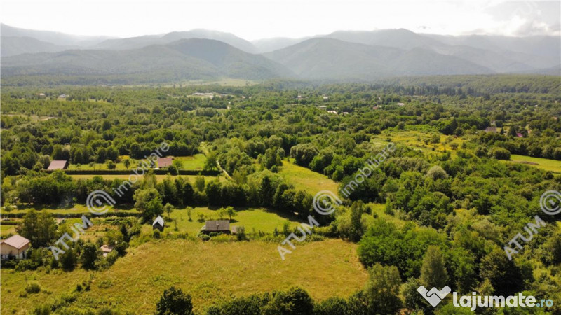 Teren intravilan de 1000 mp in Avrig zona Valea Avrigului 