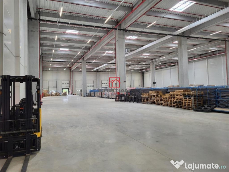 Depozit/hala/spatiu industrial Mogosoaia - Centura, Ilfov 