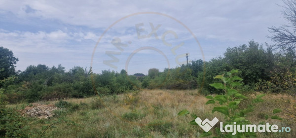 TEREN POIANA LACULUI