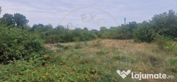 TEREN POIANA LACULUI