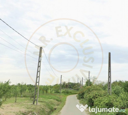 TEREN POIANA LACULUI