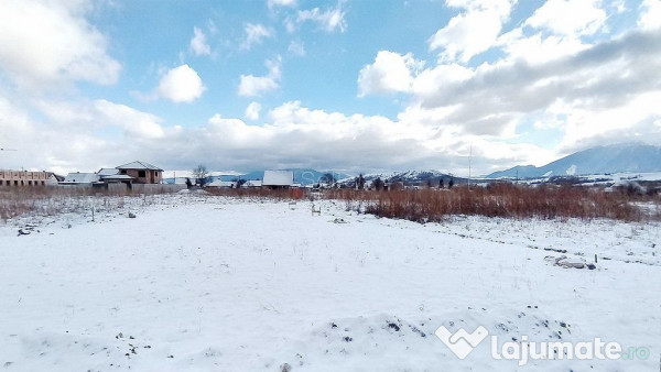 Teren Rezidential Zarnesti 