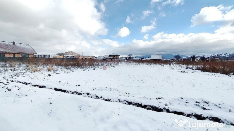 Teren Rezidential Zarnesti 