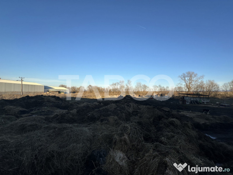 Vanzare hala Industriala cu teren intravilan de 650 mp in Il 