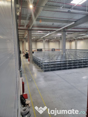 Spațiu Logistică/Depozitare Clasa A, Buftea