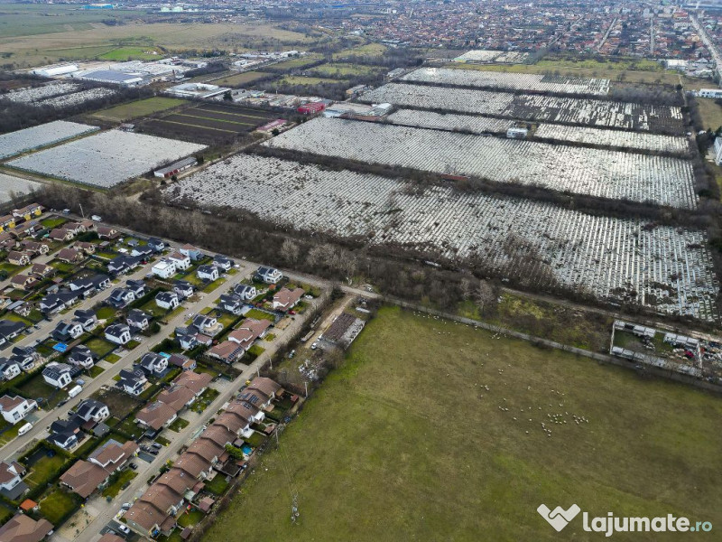 Teren Intravilan de 15.300 mp în Grădiște, Arad 