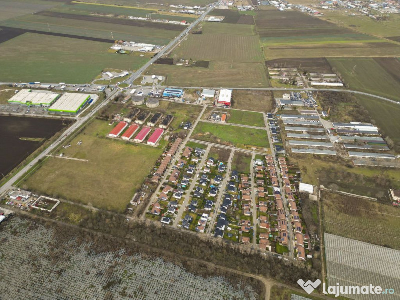 Teren Intravilan de 15.300 mp în Grădiște, Arad 
