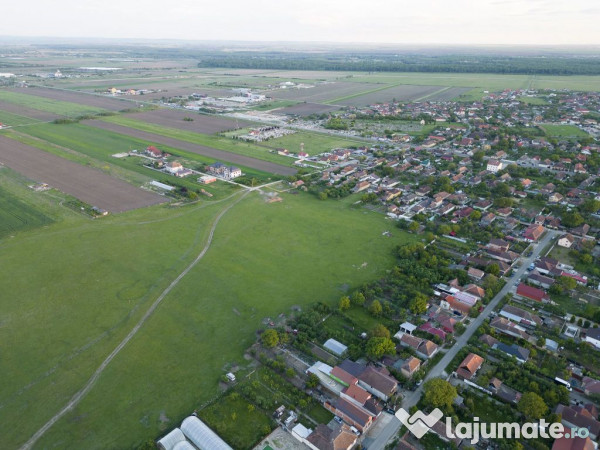 Teren intravilan 5,44 ha, Vladimirescu 