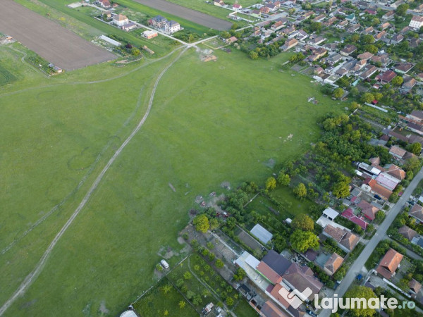 Teren intravilan 5,44 ha, Vladimirescu 