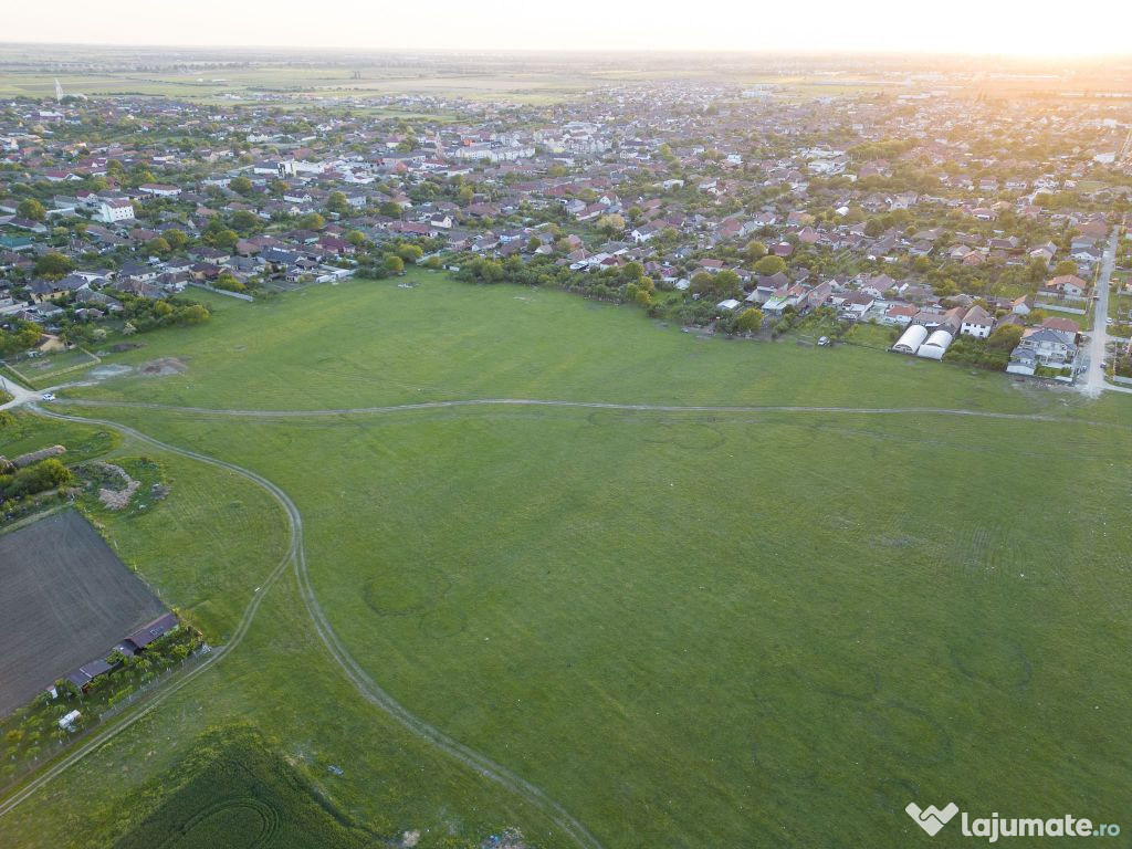 Teren intravilan 5,44 ha, Vladimirescu 