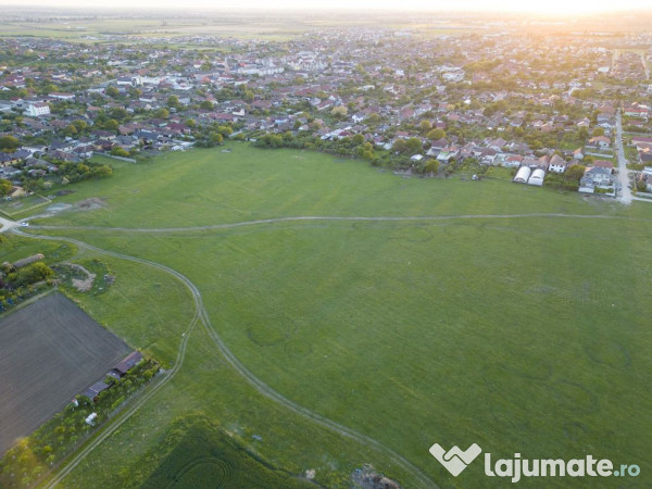 Teren intravilan 5,44 ha, Vladimirescu 