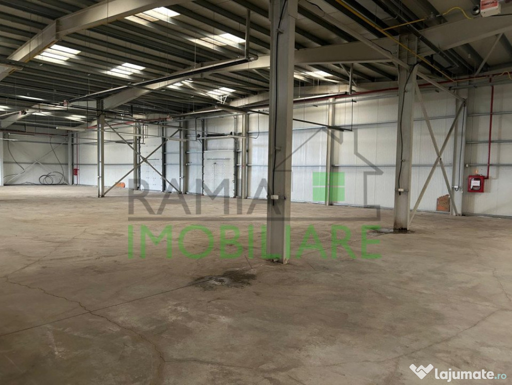 Hale de închiriat în zona Uzina 2, Brașov – 870 mp și 