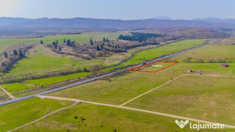 Teren 7786 mp/Curți construcții/Benzinărie 