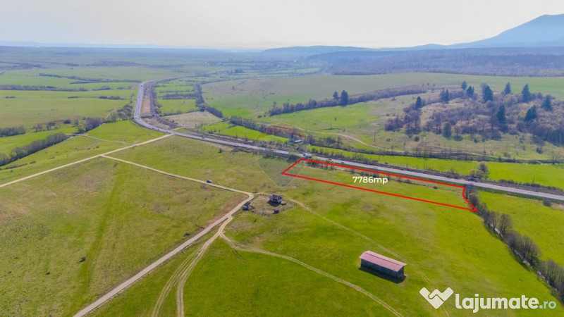 Teren 7786 mp/Curți construcții/Benzinărie 