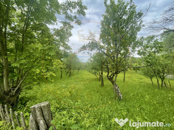Teren intravilan Sotrile 6762 mp – Investitie, camping, ag 