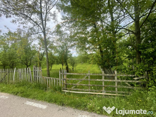 Teren intravilan Sotrile 6762 mp – Investitie, camping, ag 