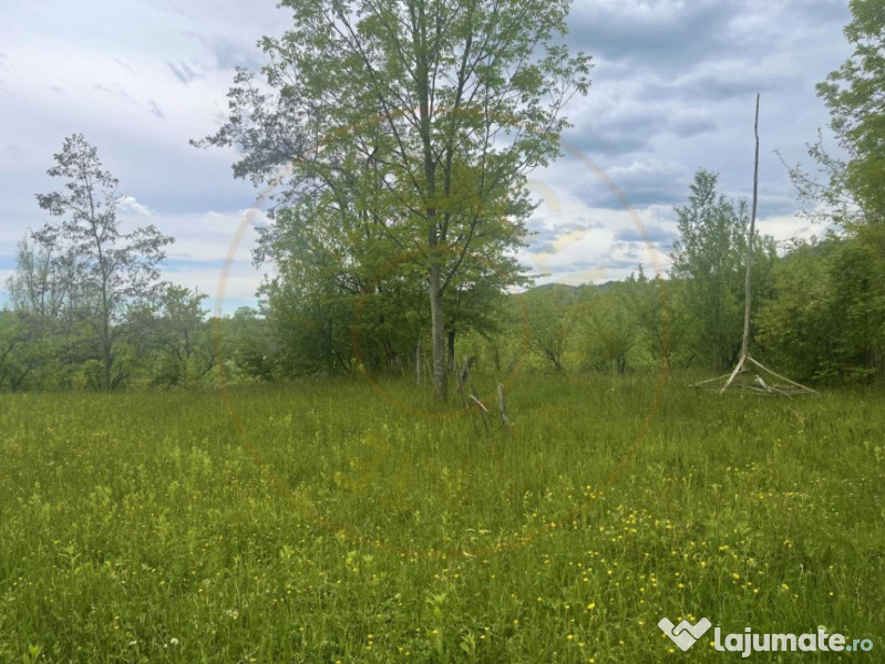 Teren intravilan Sotrile 6762 mp – Investitie, camping, ag 