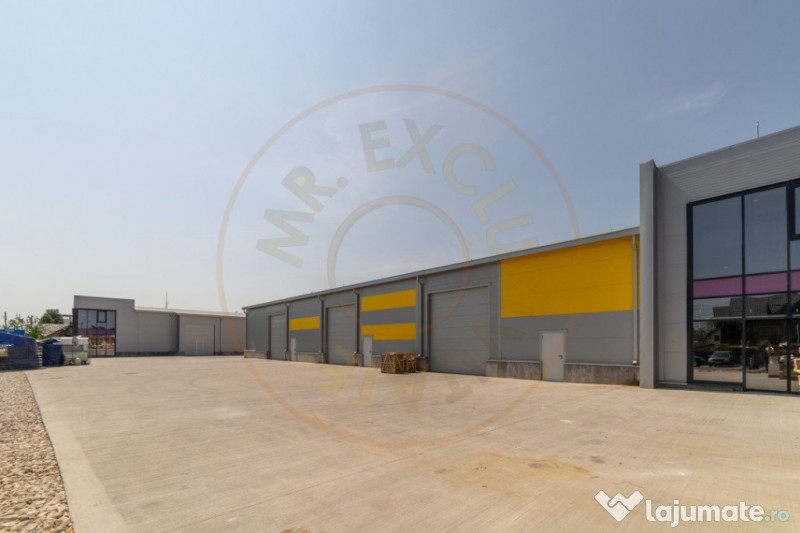 Inchiriere hala noua zona Bascov la DN 7C 