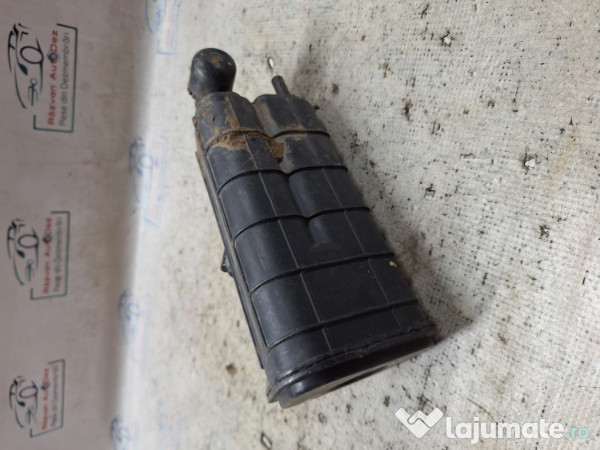 Canistra carbon Dacia Duster - Benzina 2019