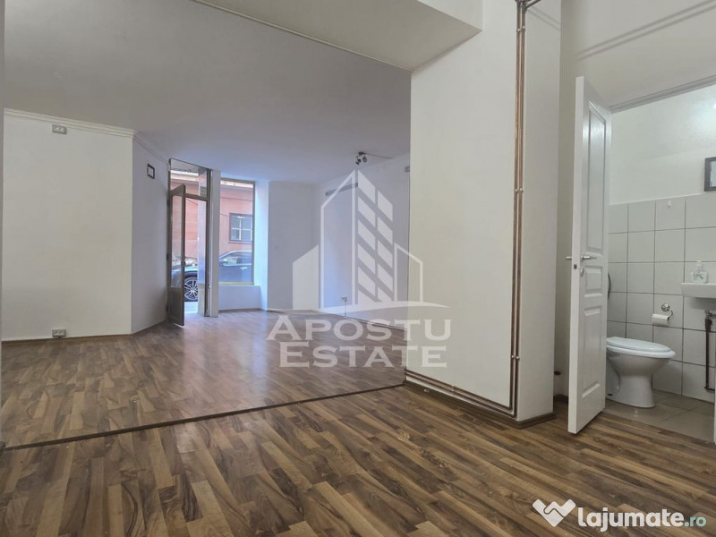 Spatiul comercial central 