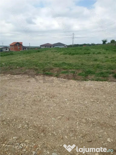 RECO Teren intravilan in Betfia 