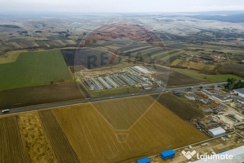 Teren 39,244mp Ilisesti / Strada Principala 