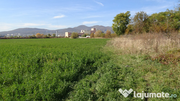 Vand teren intravilan in Deva suprafata totala 43 000 mp, zona Auchan 