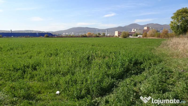 Vand teren intravilan in Deva suprafata totala 43 000 mp, zona Auchan 
