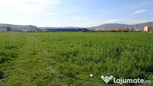 Vand teren intravilan in Deva suprafata totala 43 000 mp, zona Auchan 
