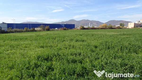 Vand teren intravilan in Deva suprafata totala 43 000 mp, zona Auchan 
