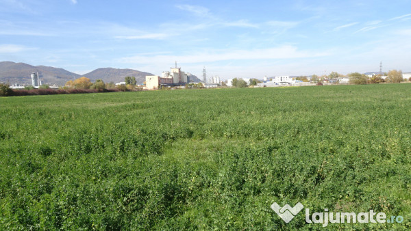 Vand teren intravilan in Deva suprafata totala 43 000 mp, zona Auchan 