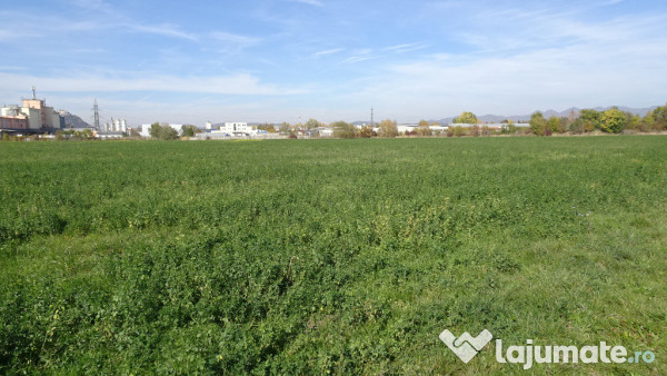 Vand teren intravilan in Deva suprafata totala 43 000 mp, zona Auchan 