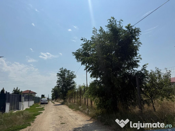 VALEA URSULUI, TEREN INTRAVILAN DE , LA MARGINE DE PADURE 