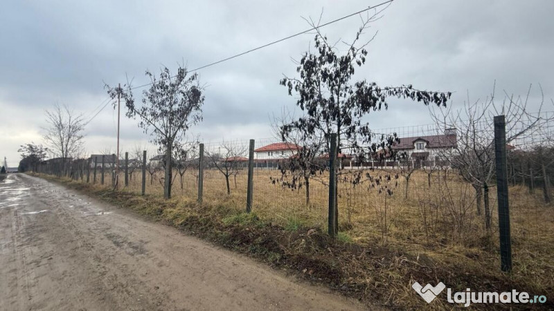 VALEA URSULUI, TEREN INTRAVILAN DE , LA MARGINE DE PADURE 