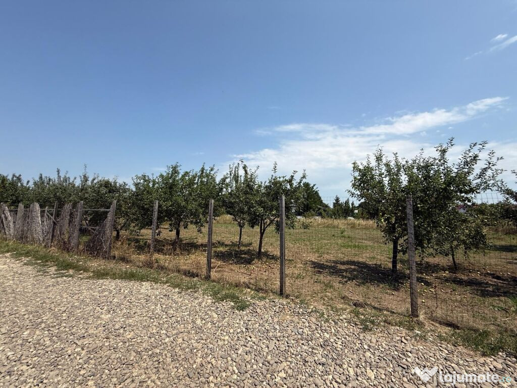 VALEA URSULUI, TEREN INTRAVILAN DE , LA MARGINE DE PADURE 